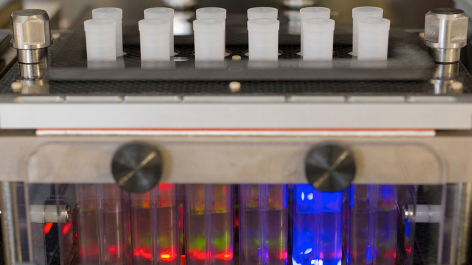 A laboratory device containing multiple test tubes illuminated with red and blue lights for high-throughput sample processing.