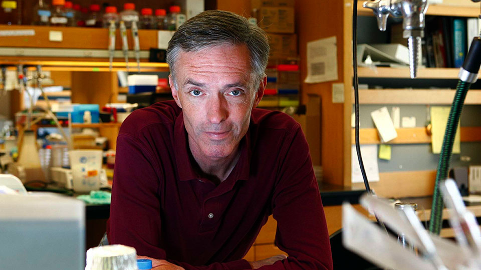 John Collins headshot