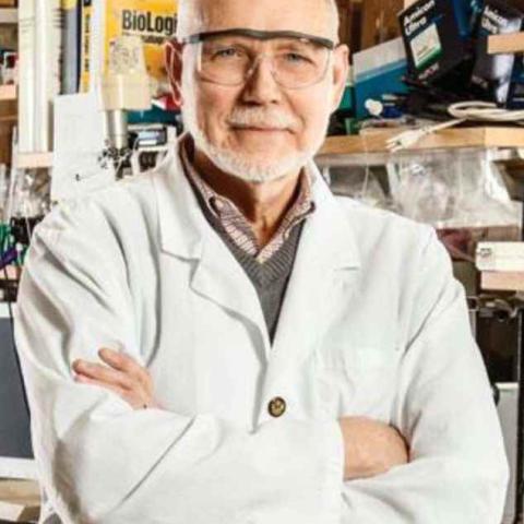 Alfred H. Merrill's profile picture