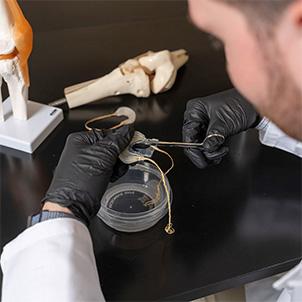 Gloved hand handling a small biological sample and petri dish on a lab bench with anatomical models nearby.
